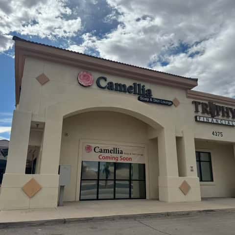 Camellia Scalp and Skin Lounge – photo 2