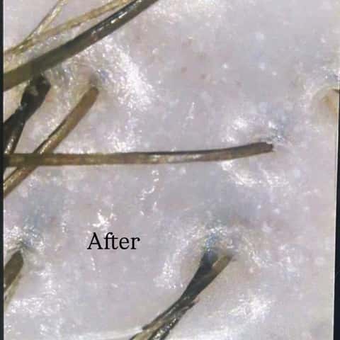 Scalp + Skin Head Spa Sanctuary – photo 5