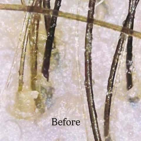 Scalp + Skin Head Spa Sanctuary – photo 4