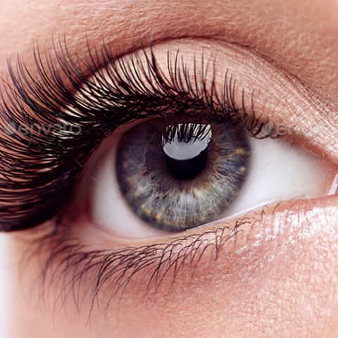 Mary's Eyelash, Eyebrow and Head Spa Salon – photo 3