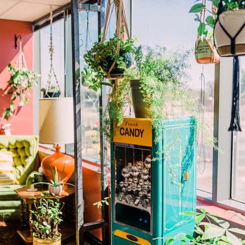 Face the Fight Apothecary Spa | Facials & Head Spa Tucson, head spa in Tucson, AZ