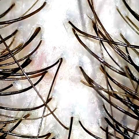 Evolve Scalp Health & Wellness – photo 5