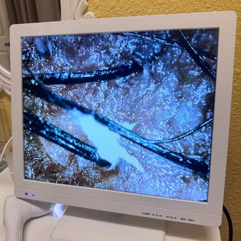 DR Head Spa – photo 4