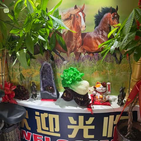 Head Spa Shop(山东老李)- 头疗 足疗 开背 脸部清洁 刮痧 拔罐 艾灸 – photo 4