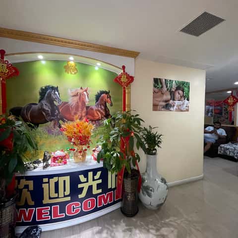 Head Spa Shop(山东老李)- 头疗 足疗 开背 脸部清洁 刮痧 拔罐 艾灸 – photo 5
