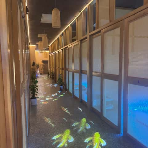 Elegant Scalp &body Massage Spa – photo 2