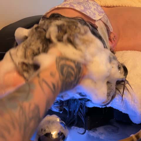 Serenity Head Spa – photo 3