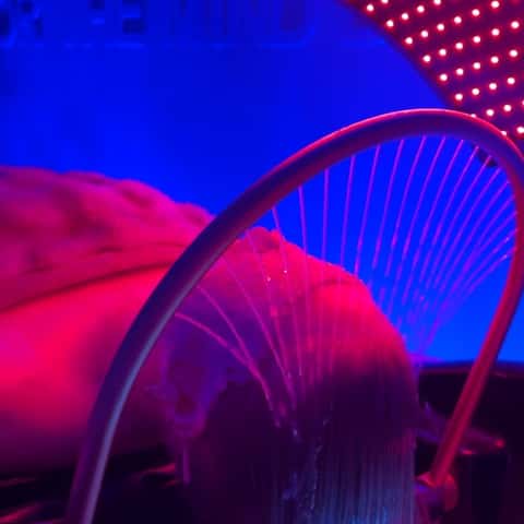 The Head Spa By Jocey – photo 4