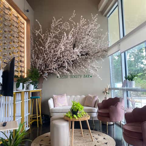 Bliss Beauty Bar-Head Spa and Facial-Medspa in Houston – photo 5