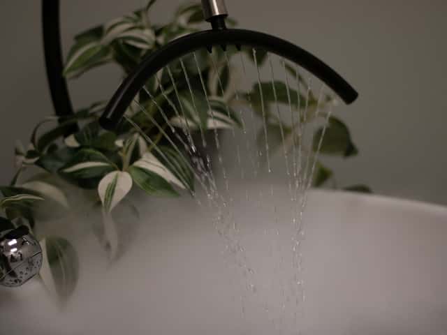 The Beauty of Zen - Organic Salon and Head Spa, head spa in Worcester, MA