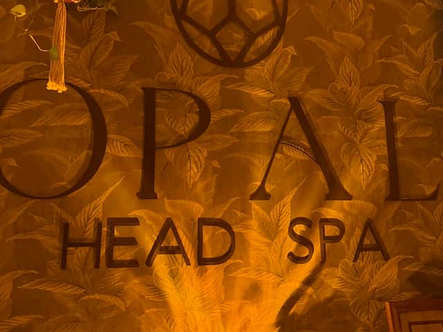 Opal Head Spa LLC, head spa in Peoria, AZ