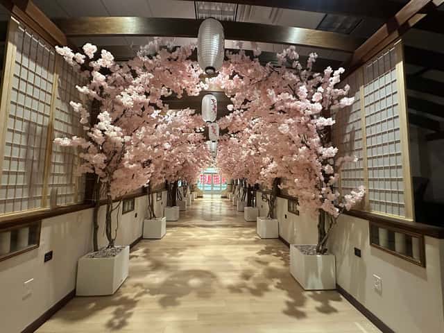 Lumi Spa, head spa in Braintree, MA